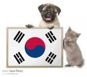 태극이 준비 시작