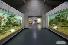 제주도의 자연사를 살펴볼수 있는 공간 / 제주 민속자연사 박물관