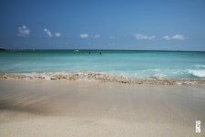 제주탐험@ 함덕서우봉해변!