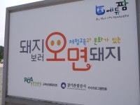 이천 가볼만한곳 에듀팜 돼지보러오면돼지 잼나요!