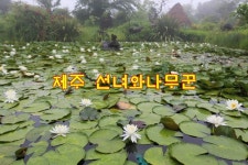 제주도 테마공원 중 가볼만한곳 선녀와나무꾼