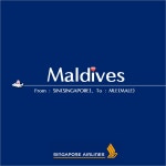 싱가폴 창이공항도착! 싱가포르항공(SQ462)타고, 몰디브 말레 국제공항으로 - 기내식⑧