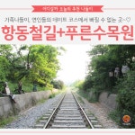 [어디갈까] 서울나들이 필수코스~! 항동철길+푸른수목원