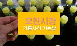 경기도 성남 모란시장 기름사러가는날 [전통시장 모란오일장 4일, 9일]