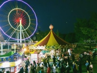 전주동물원(전주드림랜드)야간개장 했어요 