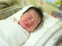 40w+2d 복둥이탄생