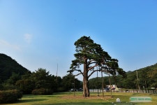 충청북도 가볼만한곳 충북 보은여행(베스트)