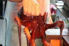 가로수길 맛집 해산물맛에 반한곳 수족관 !