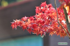 충청북도 가볼만한곳 충북 보은여행(베스트)