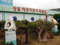 해남 가볼만한곳 땅끝해양자연사박물관 재미난 도슨트샘와 함께~