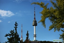 서울의 랜드마크 남산