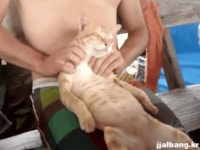 안마 받으러 가자냥