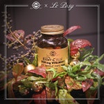 꽃.. 좋아하시는 분~~ 무료 클래스 신청하세요~