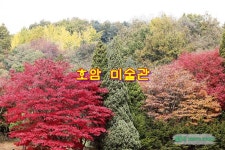 경기도 가볼만한곳 호암미술관