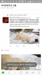 북극곰에게 준 선물