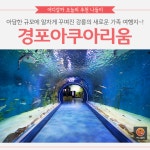 [어디갈가 추천나들이] 강원도 새로운 여행지~! 경포아쿠아리움~!