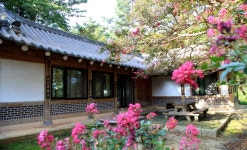 참사랑