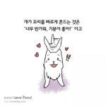 도그와 양이가 다른 점