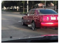 내옆에 오지마~~