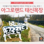 [어디갈까 추천나들이] 동물들과 신나게 뛰어노는 아그로랜드 태신목장~!