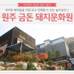 [어디갈까 추천나들이] 원주 금돈 돼지문화원~!