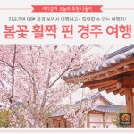[어디갈까 가족 추천나들이] 봄꽃 활짝 핀 경주 여행~!
