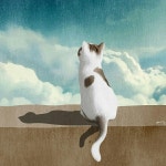 수유텀 맞추는거 포기했어요