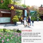 [어디갈까 가족 추천나들이] 매력만점~ 용인 여행~!