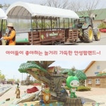 [어디갈까 가족 추천나들이] 지금 가면 딱~! 안성 팜랜드~!