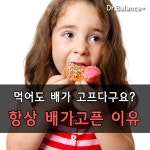 자꾸 배가고픈 이유를 알아야 다이어트에 성공하죠!