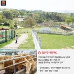 [어디갈까 가족 추천나들이] 목장체험하기 좋은곳~!