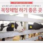 [어디갈까 가족 추천나들이] 목장체험하기 좋은곳~!