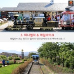 [어디갈까 가족 추천나들이] 지금 가야할 곳! 곡성세계장미축제~!