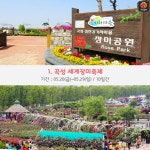 [어디갈까 가족 추천나들이] 지금 가야할 곳! 곡성세계장미축제~!