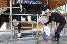 당진여행 아그로랜드 태신목장 입장료및 이용팁 