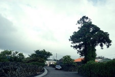 제주도 여행, 애월읍 납읍리 마을과 납읍 초등학교