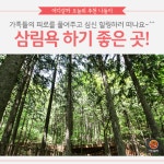 [어디갈까 추천나들이] 맑은 공기 가득~! 삼림욕 하기 좋은 곳!