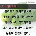 작지만 실속있는 미니채소들 ~~