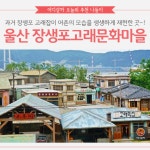 [어디갈까 추천나들이] 울산 장생포고래문화마을~!