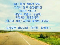 깨 볶는 솜씨로 커피콩 볶기