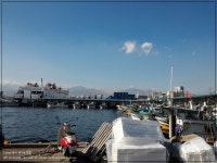 속초 동명항 저렴하게 회먹기~