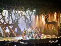 잔잔한 감동에 가슴 뭉클해지는 가족 뮤지컬 정글북