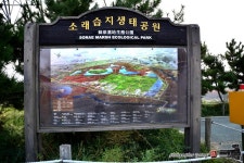 § 소래습지 생태공원으로~