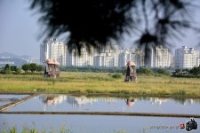 § 소래습지 생태공원으로~ -7-