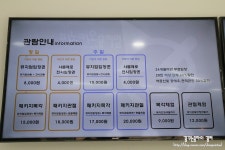 *아이와 가볼만한곳* 파주 출판도시 하루코스 (탄탄스토리하우스,피노키오뮤지움,지혜의숲,보리책놀이터,중고서점)