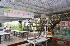 [여주곤충박물관] 신비로운 곤충의 세계로 놀러가요~