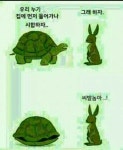 토끼와 거북이