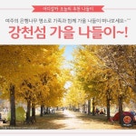 [어디갈까 추천나들이] 강천섬 가을나들이~!