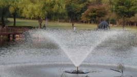 공원에서. . .