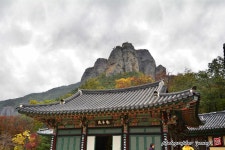 ○ 주왕산 사과밭 ♠